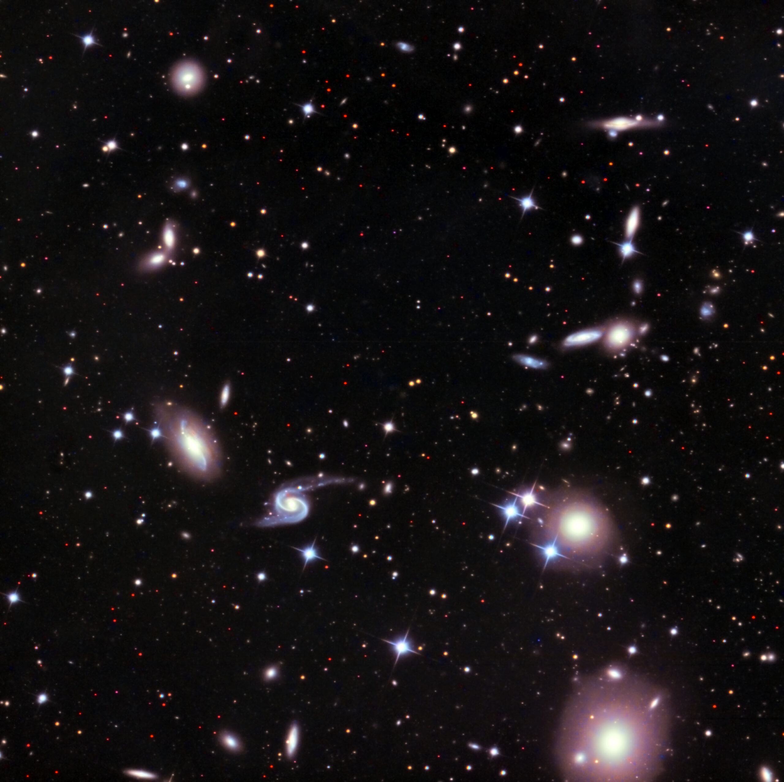 2025 NGC80 V2ps