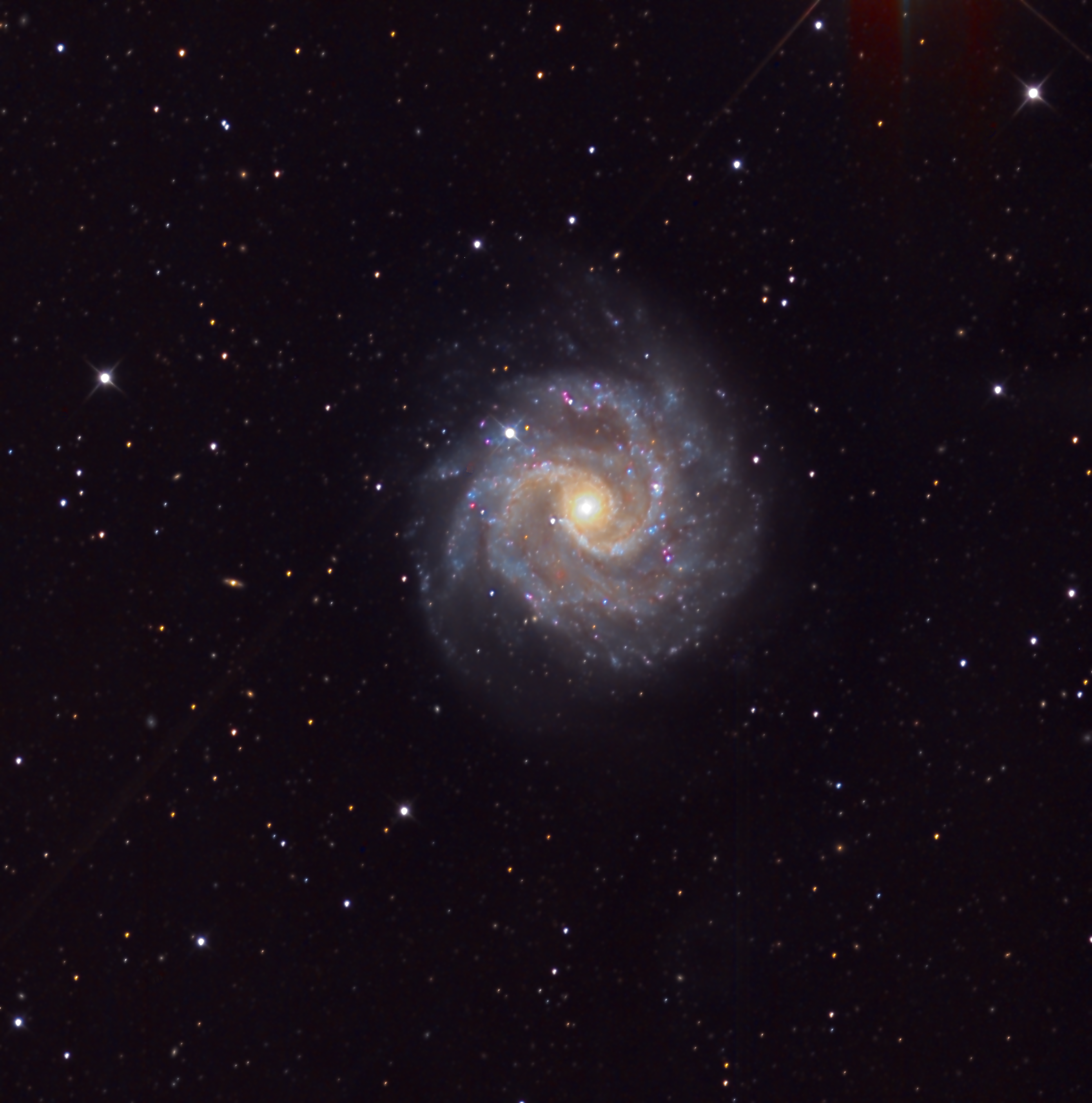 20250302 NGC3184